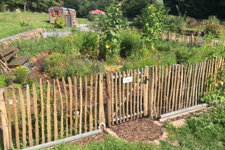 Mit einfachem Holzzaun eingefasster Biogarten an der Seemühle