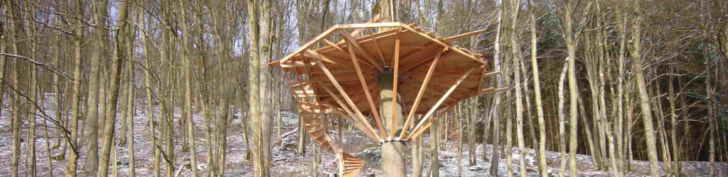 Die Plattform und Treppe für das Baumhaus sind fertig