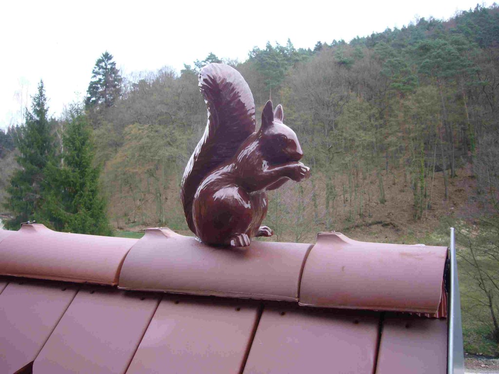 Eichhörnchen genießt die Aussicht