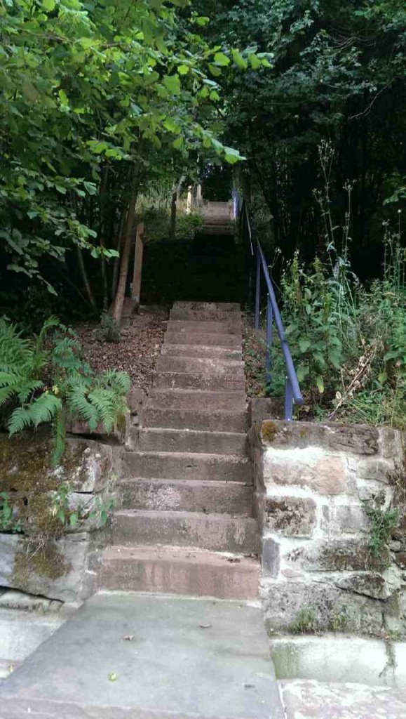 Treppen im Baumhaushotel