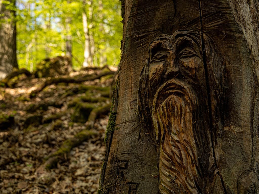 Poetischer Wanderweg am Baumhaushotel Seemühle