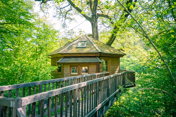 Baumhaus im Frühlingswald