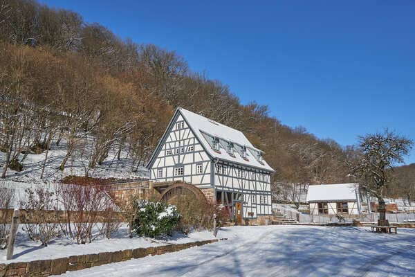 Baumhaushotel Seemühle im Winter