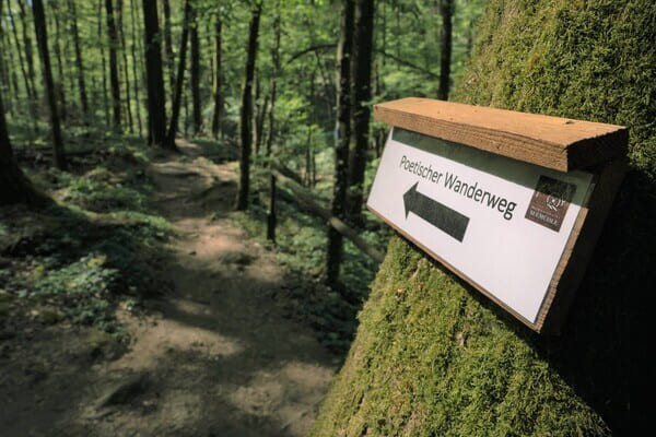 Poetischer Waldpfad Richtung Trettstein Wasserfall