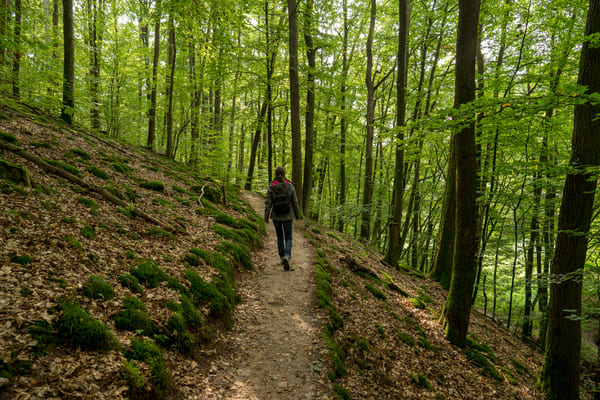 Wanderung mit Poesie