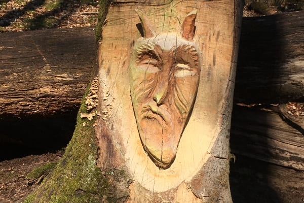 Poetischer Wanderweg mit Baumgeistern