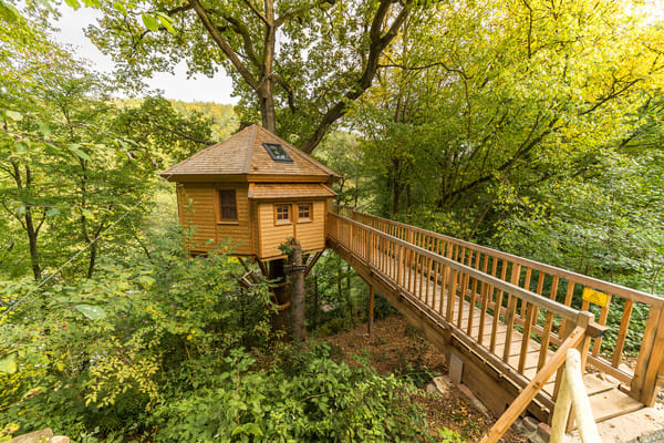 Baumhaus hoch im Baum mit Brücke als Zugang 