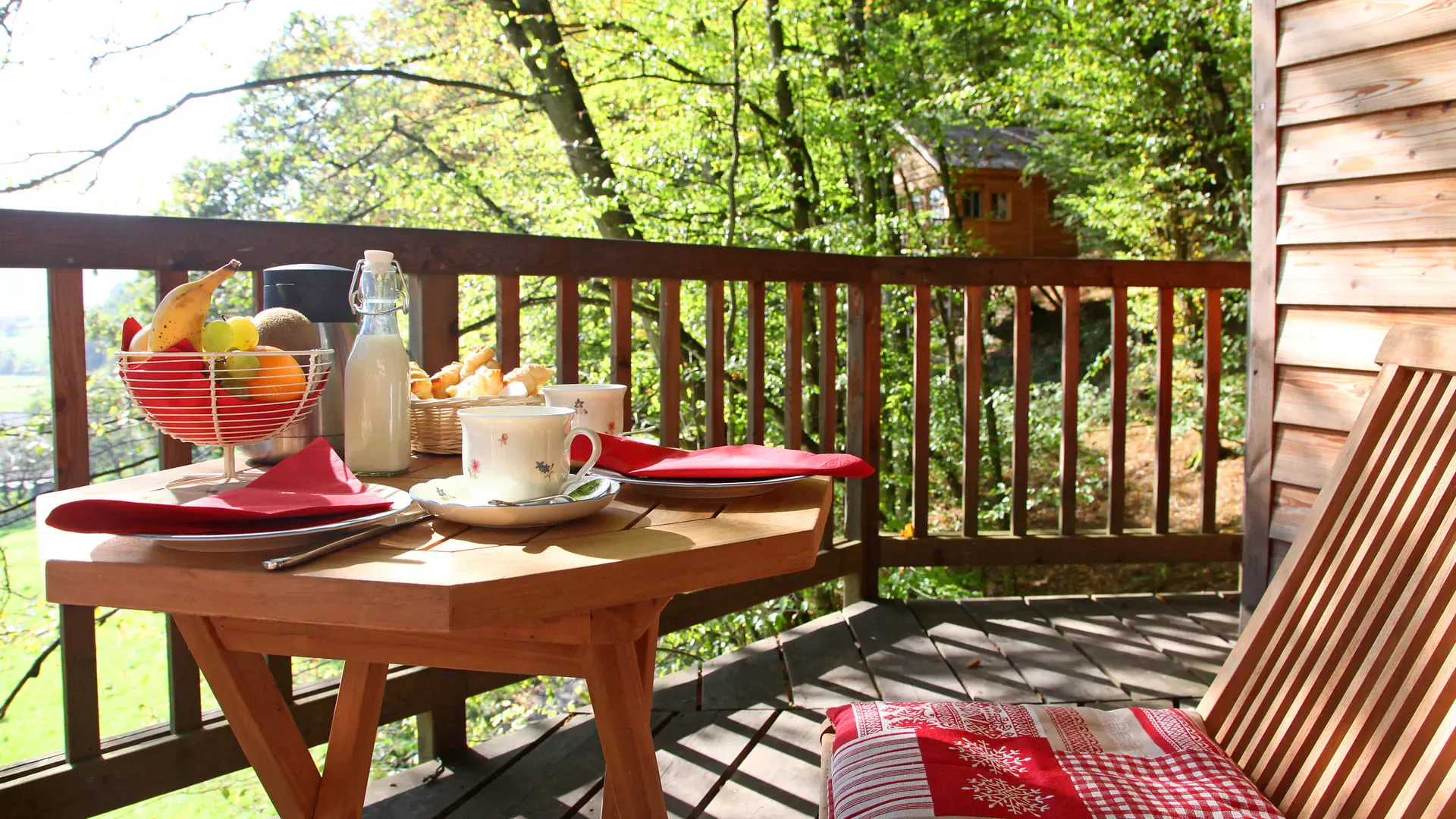 Aufwachen in den Baumwipfeln