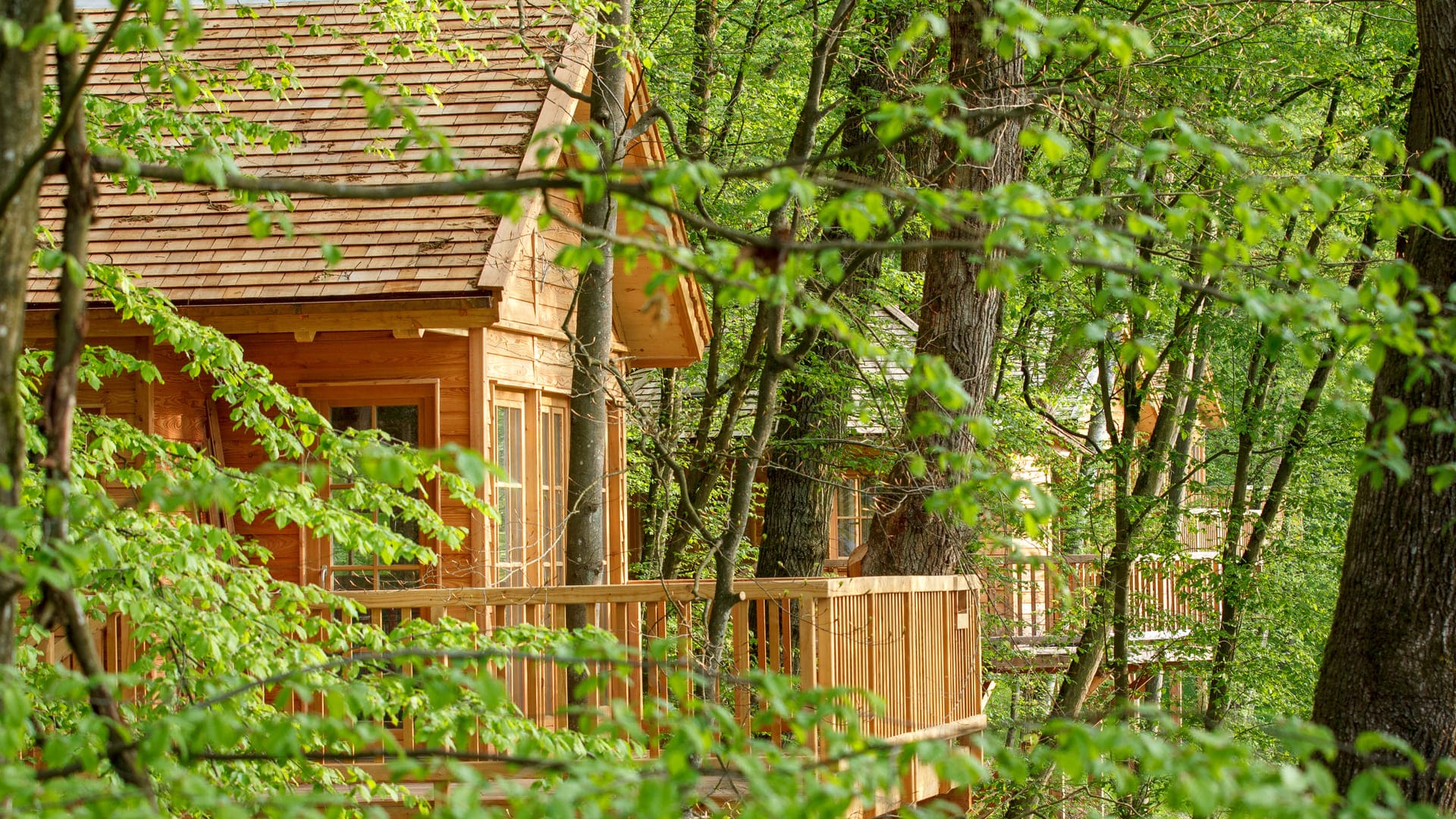 Übernachten in den Baumkronen