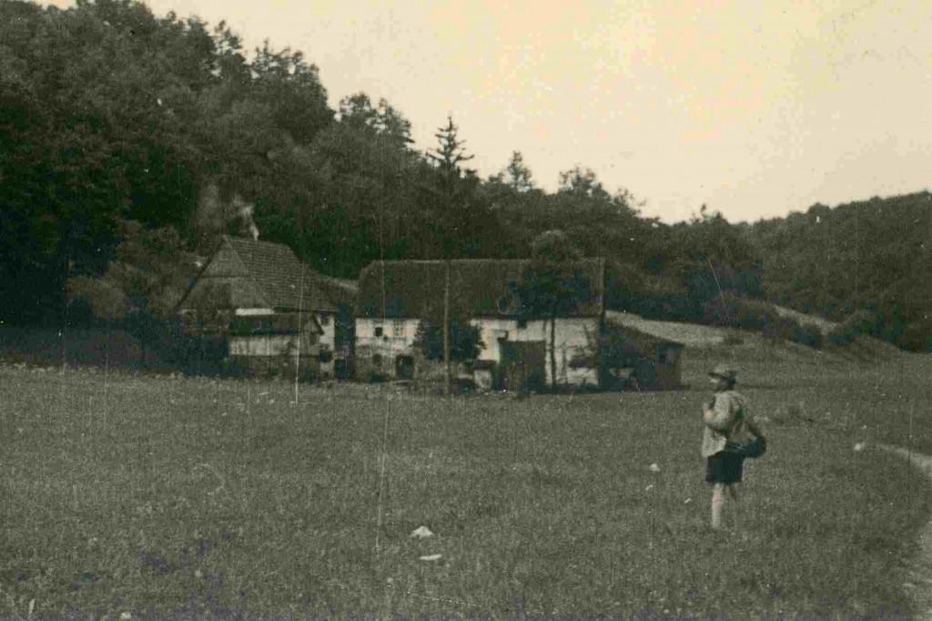 Alte Aufnahmen der Seemühle