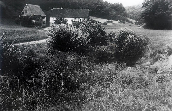 altes Schwarz-Weiss-Foto der Seemühle