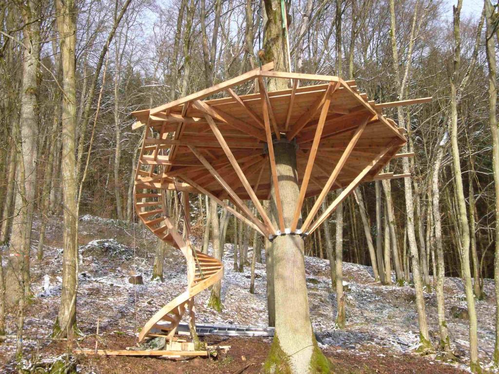 Plattform und Treppe des Baumhauses sind vorbereitet