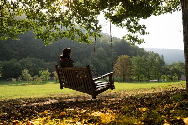 Waldtherapie rund um das Baumhaushotel Seemühle